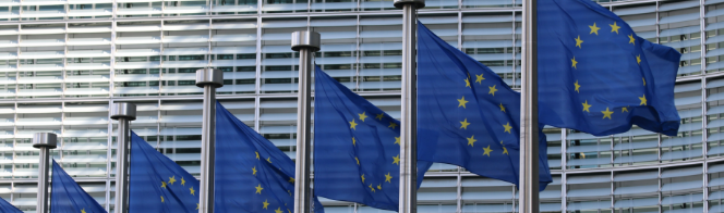 European Union Flags